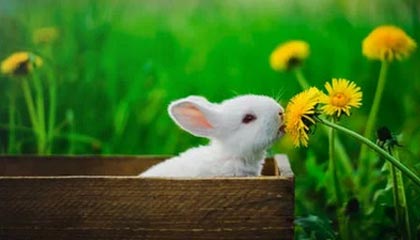 开云体育app下载-皇马顺利晋级八强，尤文止步16强，皇马尤文交战记录